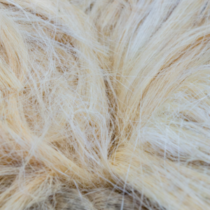 Sisal Fiber TOW 1 for sale Sisal Fiber TOW 1 for sale